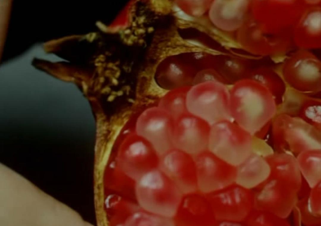 风的第一声呼吸 Al primo soffio di vento