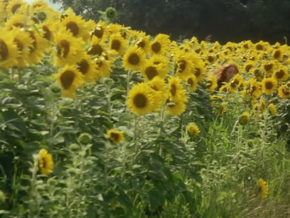 风的第一声呼吸 Al primo soffio di vento