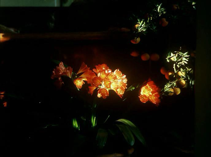 风的第一声呼吸 Al primo soffio di vento