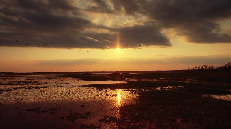 海湾的飓风 Hurricane on the Bayou