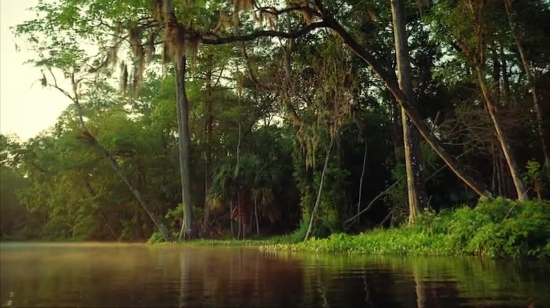 海湾的飓风 Hurricane on the Bayou