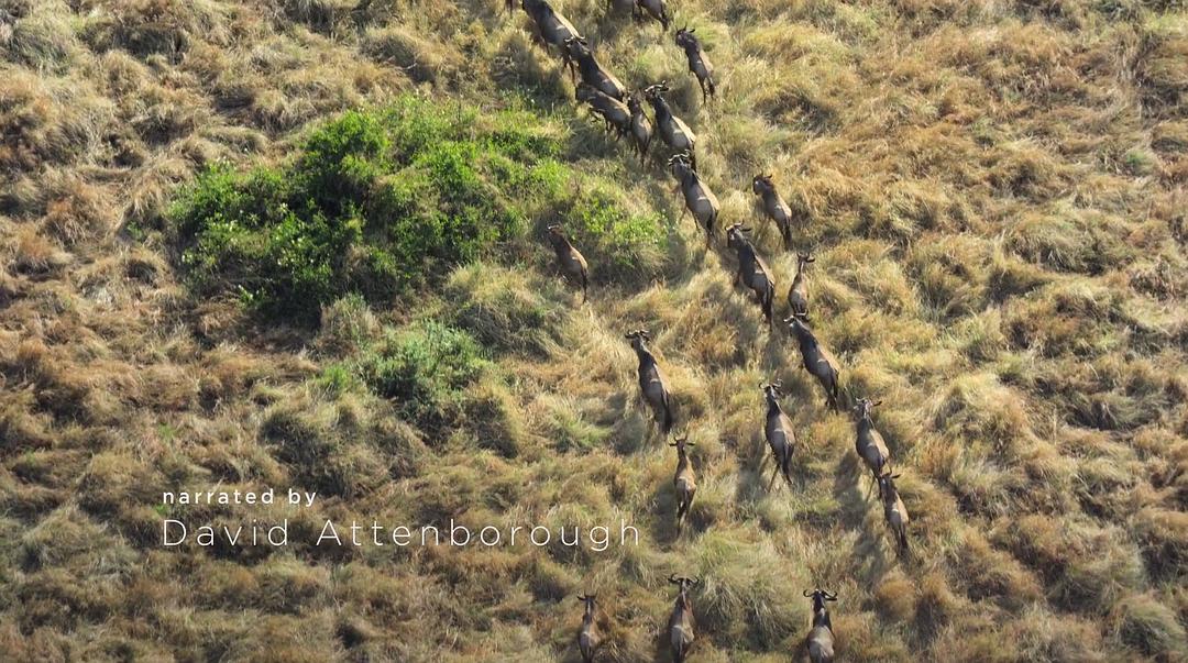 打破边界：我们星球的科学 Breaking Boundaries: The Science of Our Planet
