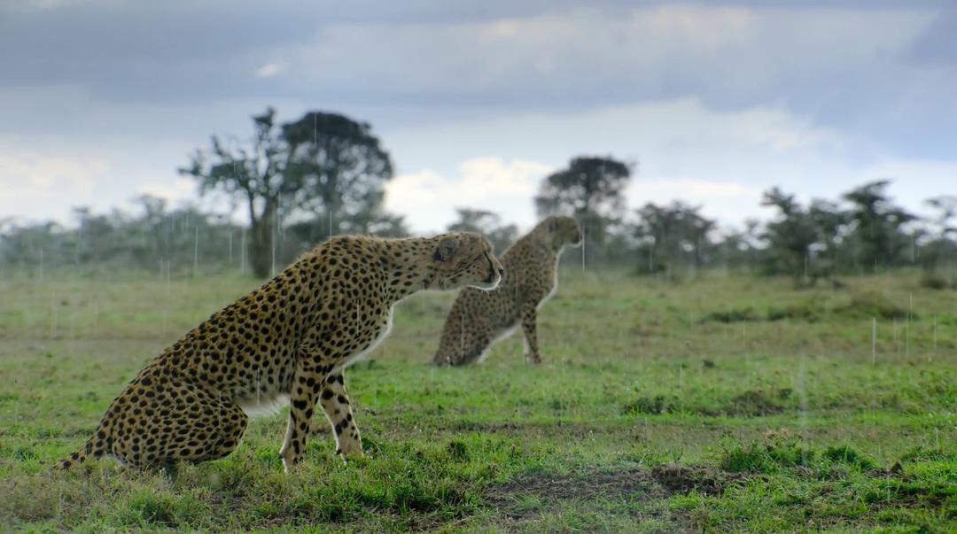打破边界：我们星球的科学 Breaking Boundaries: The Science of Our Planet