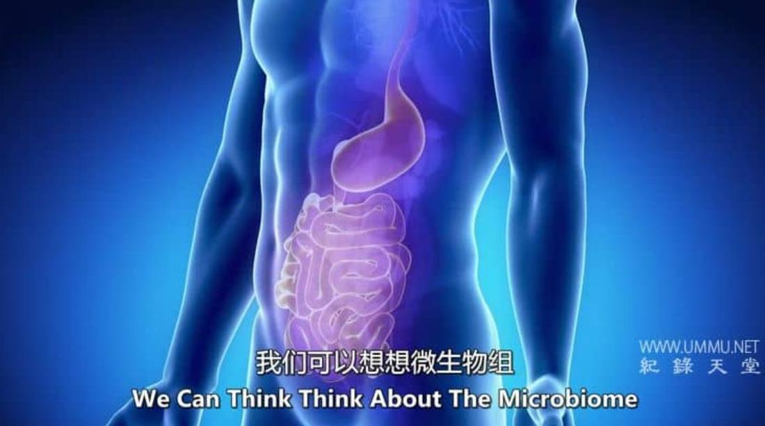 进入光明 Bright Now!