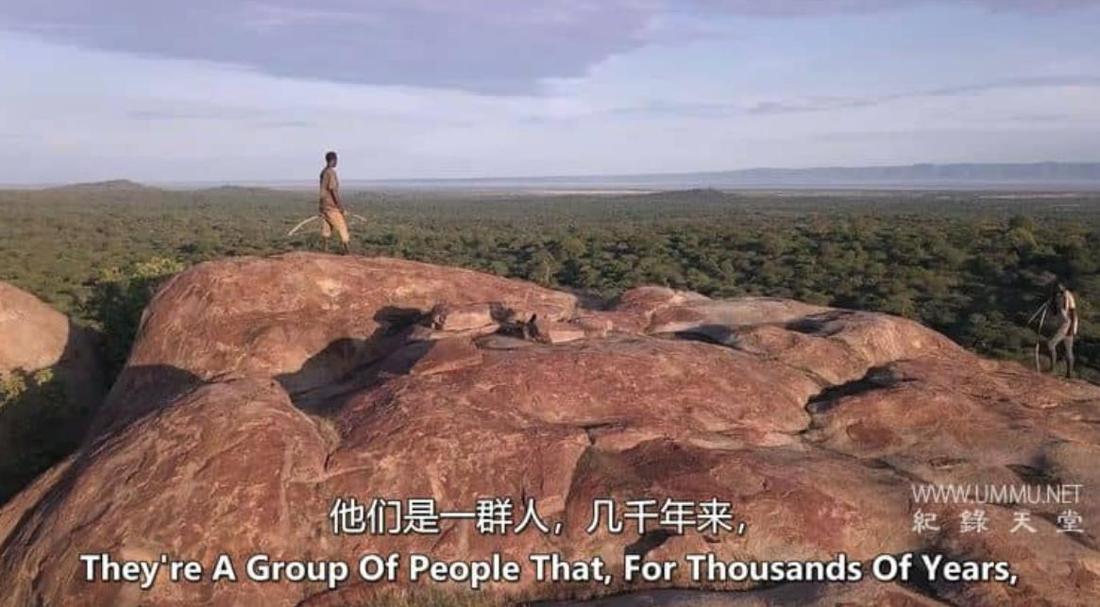 进入光明 Bright Now!