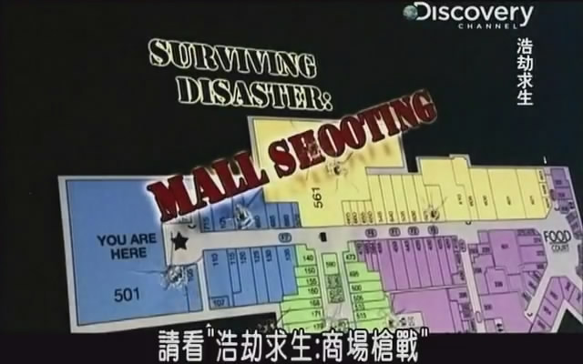 浩劫求生 Surviving Disaster