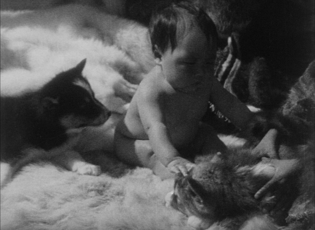 北方的纳努克 Nanook of the North