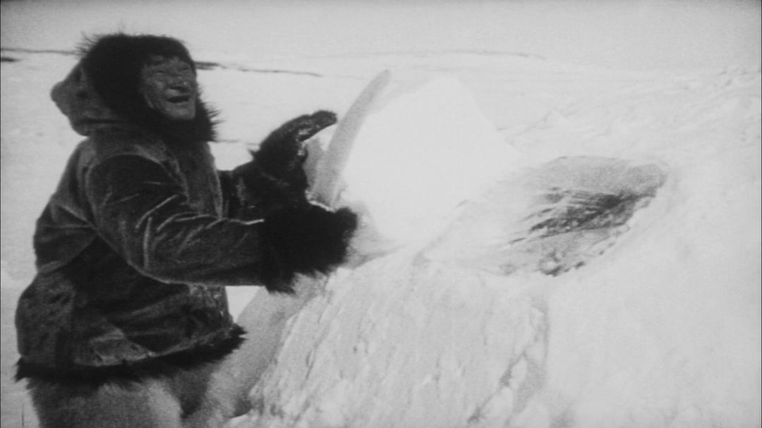 北方的纳努克 Nanook of the North