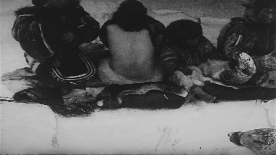 北方的纳努克 Nanook of the North