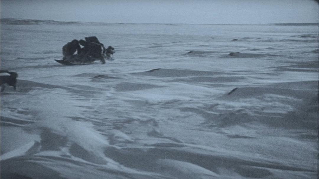 北方的纳努克 Nanook of the North