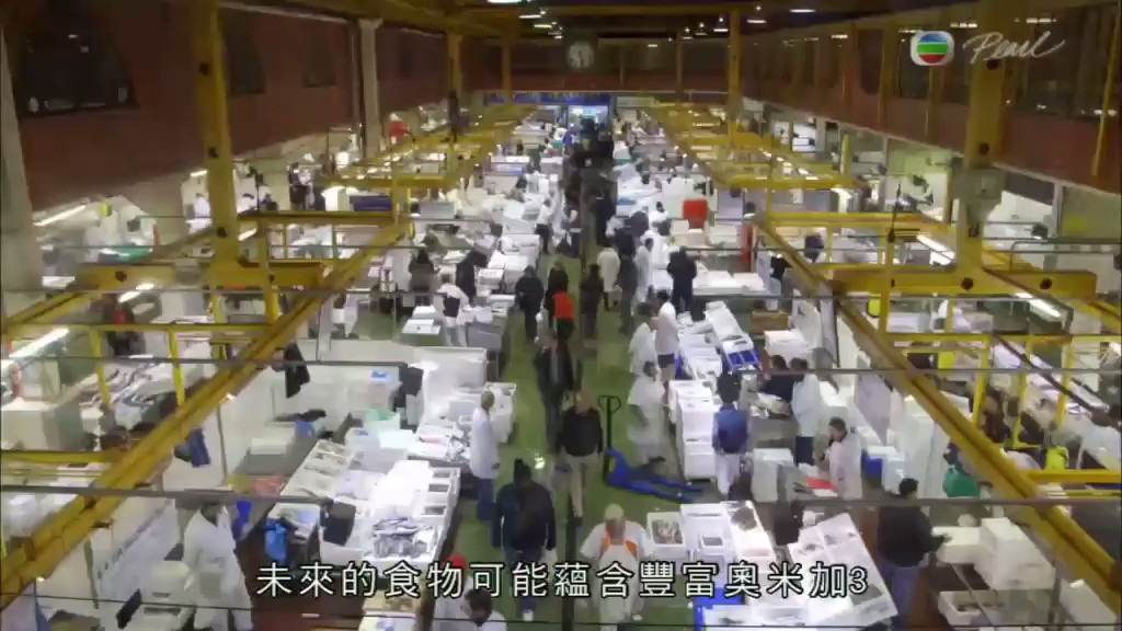 肥胖的真相 The Truth about Fat