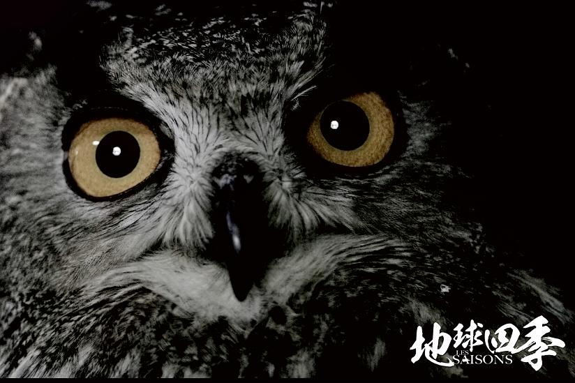 地球四季 Les saisons