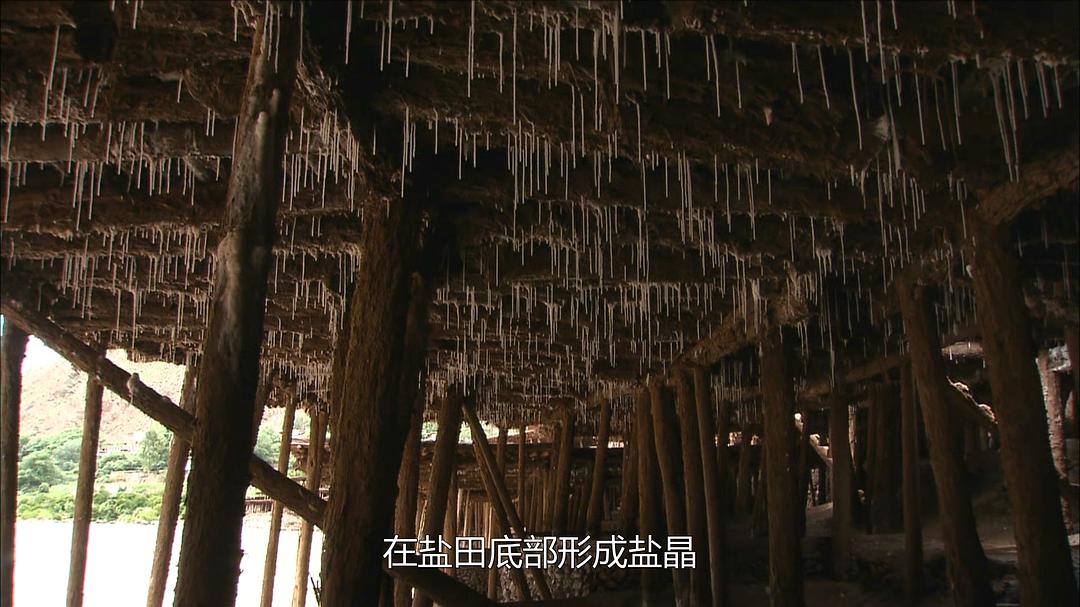 最后的盐道 The Last Salt Caravan