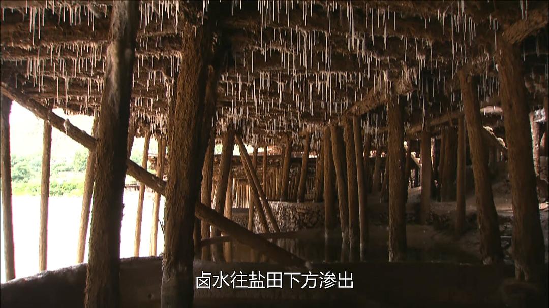 最后的盐道 The Last Salt Caravan