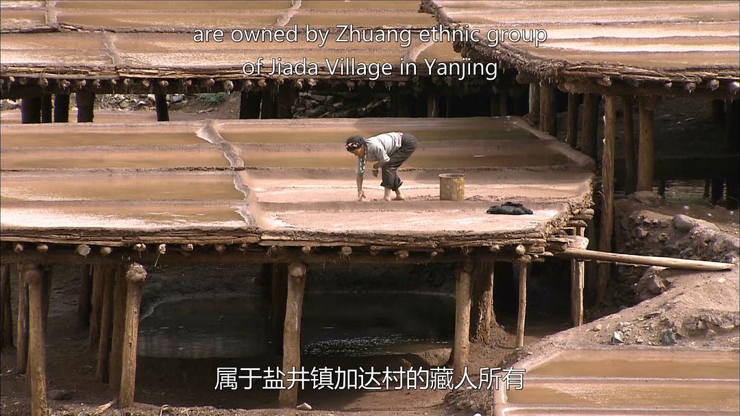 最后的盐道 The Last Salt Caravan