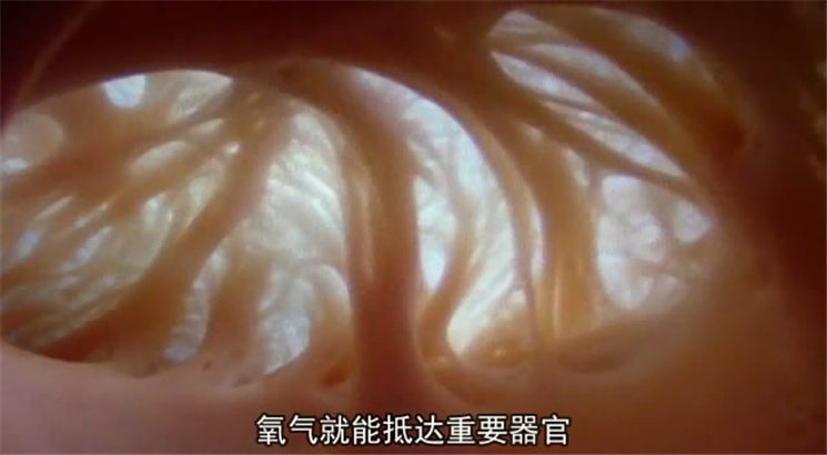 超级新人类 Superhuman