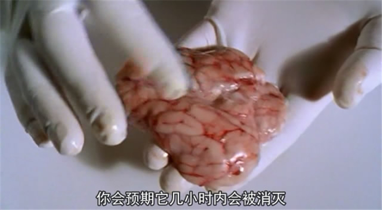 超级新人类 Superhuman