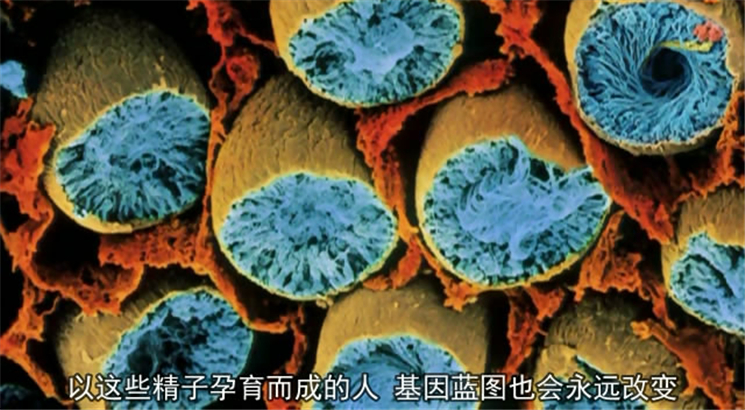 超级新人类 Superhuman