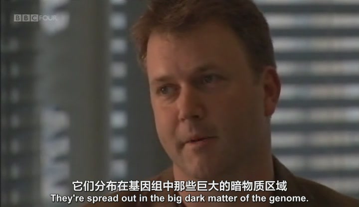 基因密码 The Gene Code