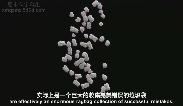 基因密码 The Gene Code