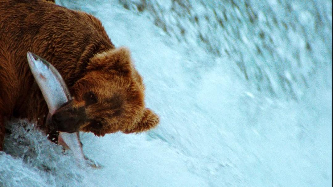 北美国家公园全纪录 The National Parks: America's Best Idea