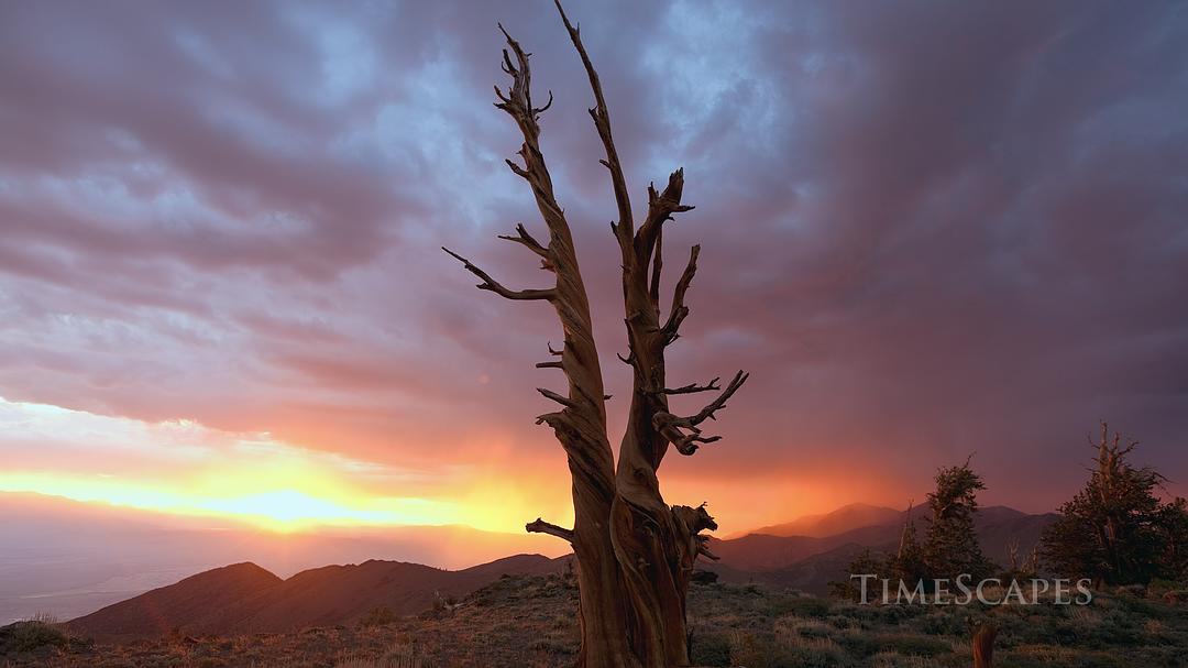 时间的风景 TimeScapes