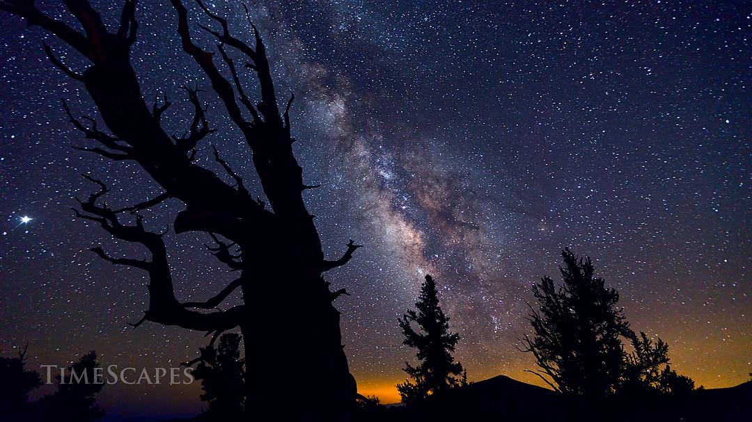 时间的风景 TimeScapes