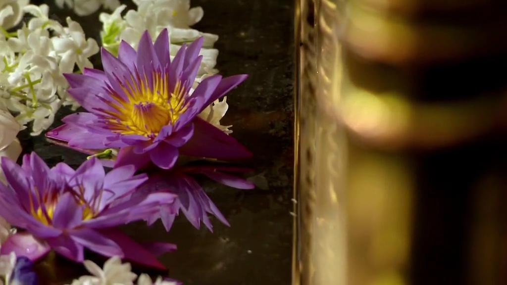 佛教世界的七大奇观 Seven Wonders of the Buddhist World