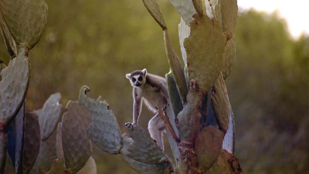 胜地 The Greatest Places