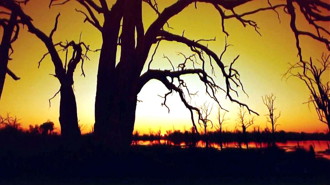 胜地 The Greatest Places