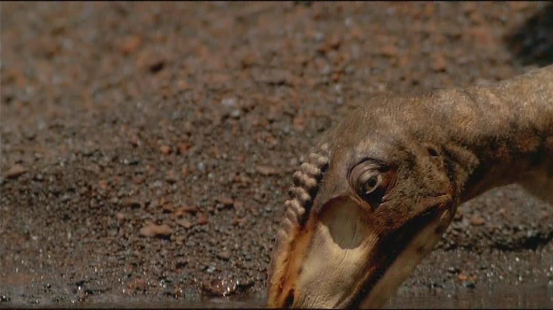 与恐龙同行 Walking with Dinosaurs