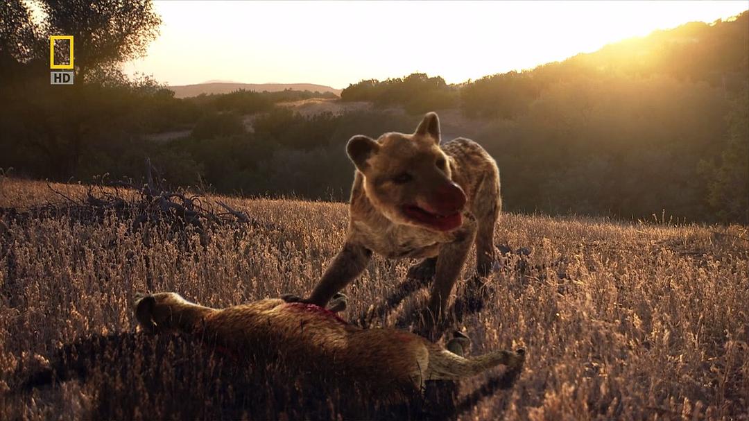 史前掠食动物 Prehistoric Predators