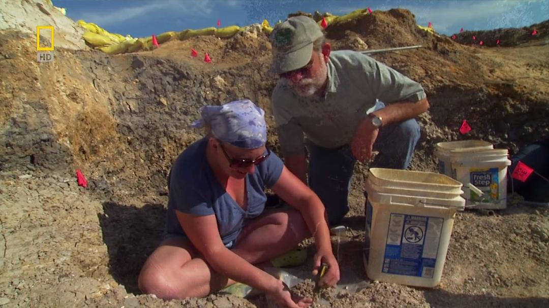 史前掠食动物 Prehistoric Predators