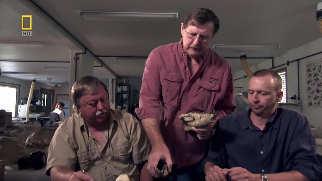 史前掠食动物 Prehistoric Predators