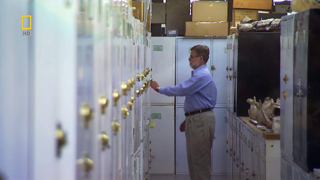 史前掠食动物 Prehistoric Predators