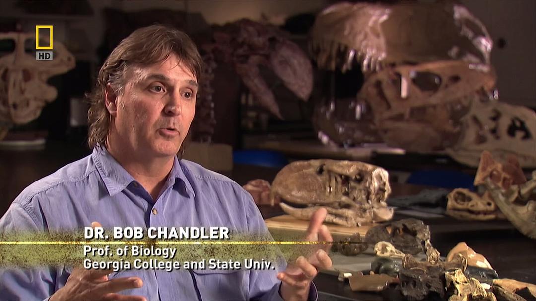 史前掠食动物 Prehistoric Predators