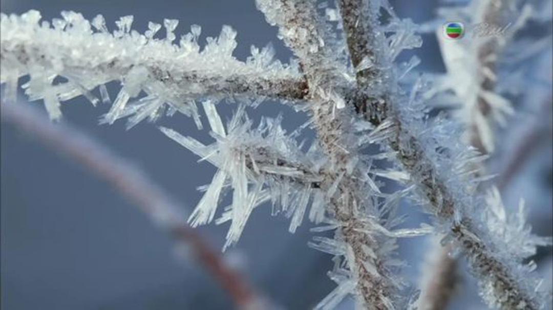 英伦四季 The Great British Year