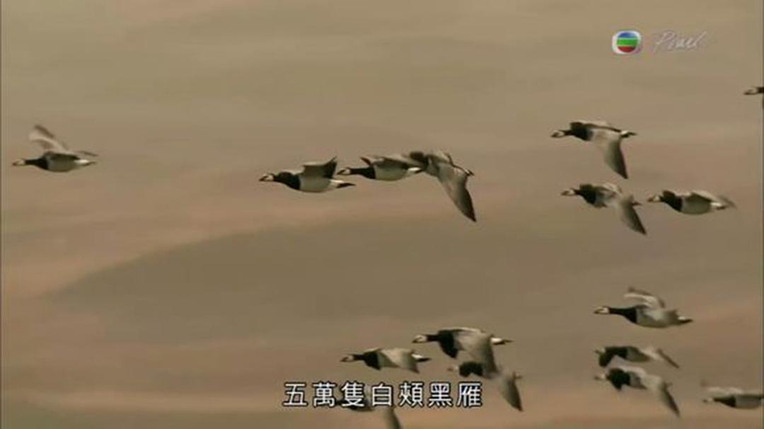 英伦四季 The Great British Year