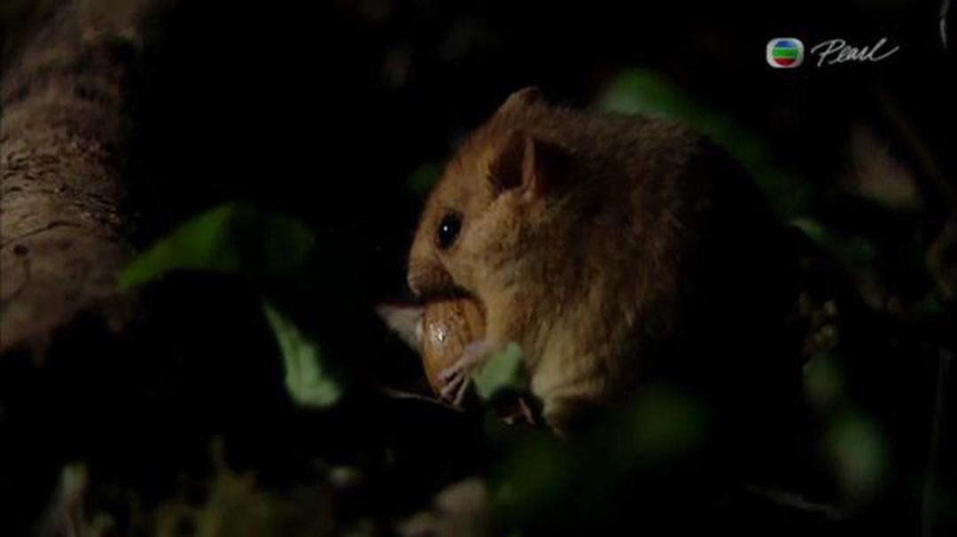 英伦四季 The Great British Year