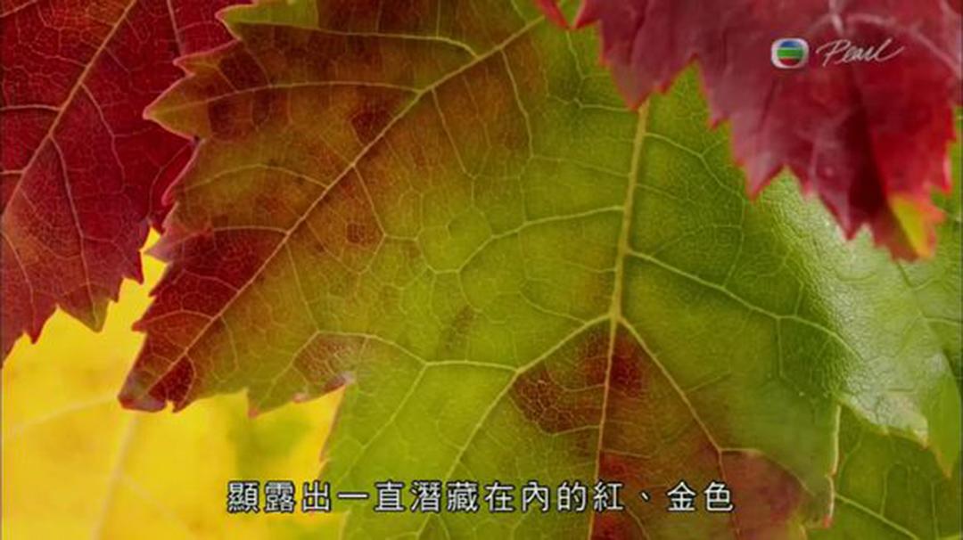 英伦四季 The Great British Year