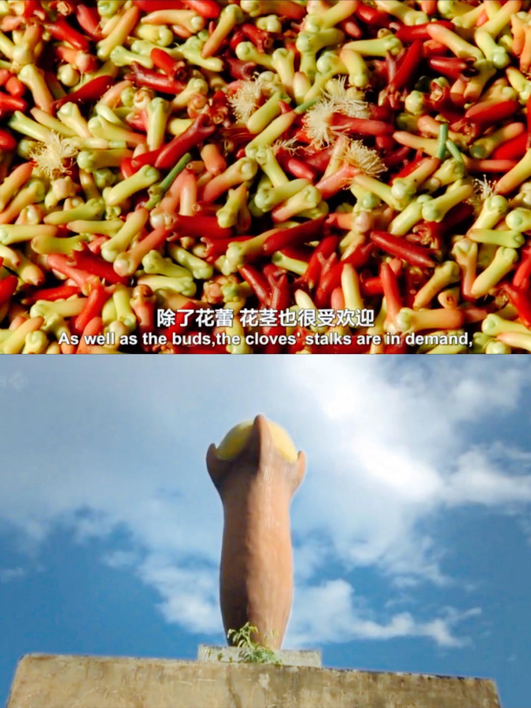 香料之路 The Spice Trail