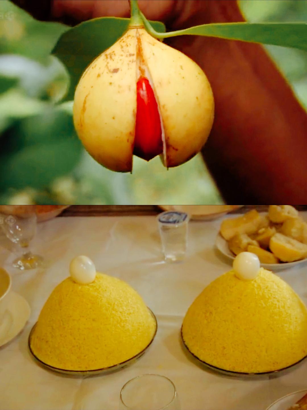 香料之路 The Spice Trail