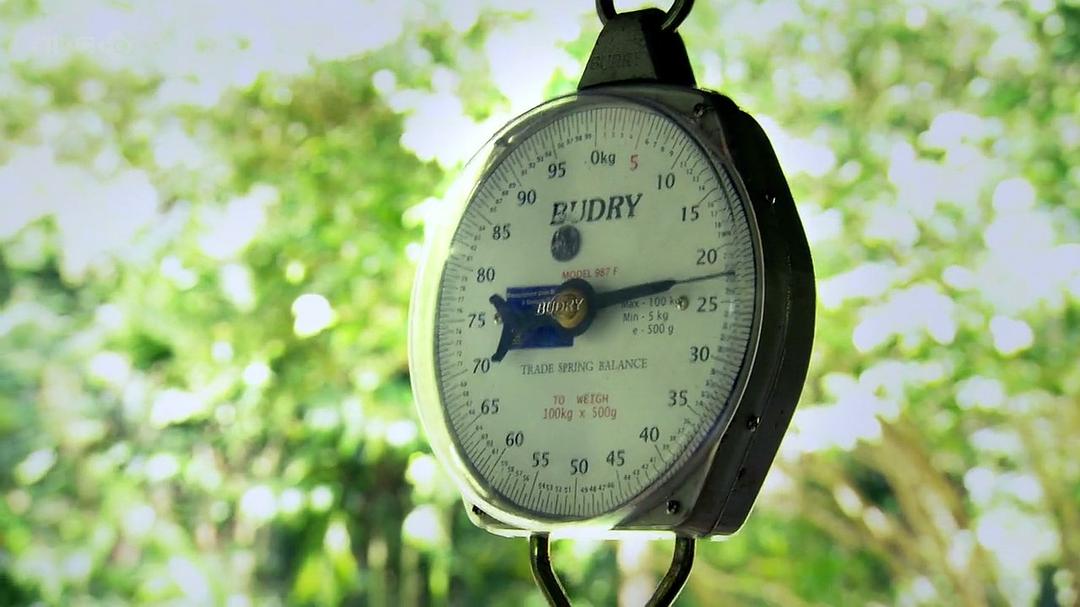 香料之路 The Spice Trail