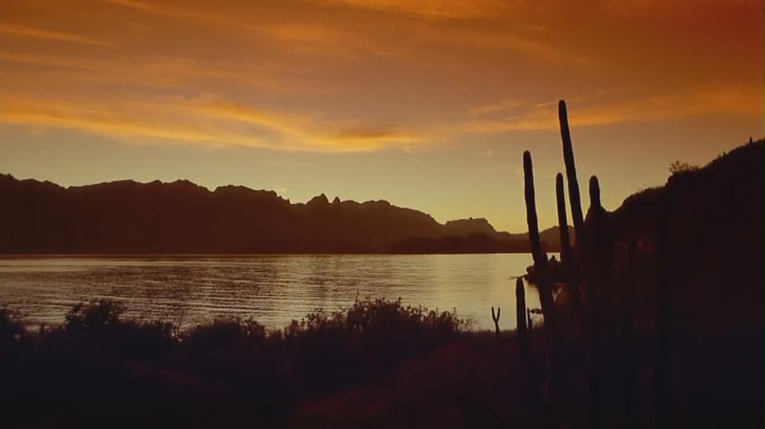 海洋绿洲 Ocean Oasis