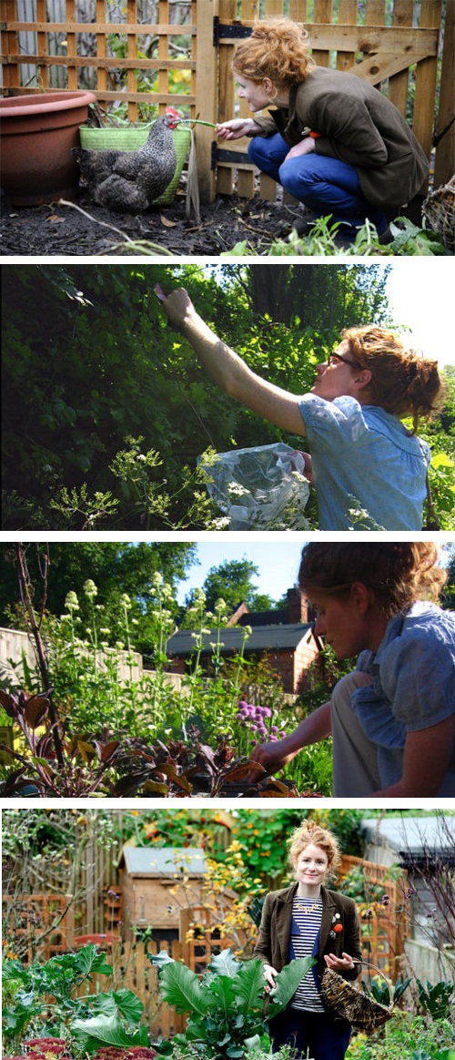 食材花园 The Edible Garden