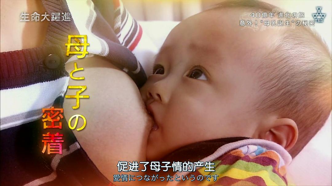 生命大跃进 生命大躍進