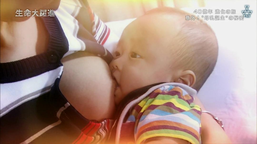 生命大跃进 生命大躍進