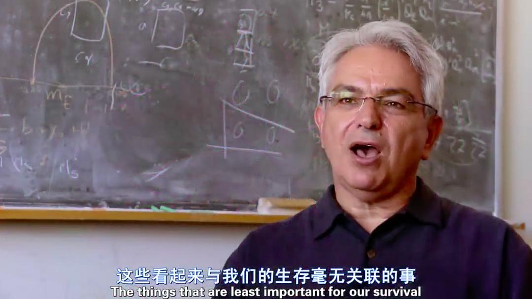 粒子狂热 Particle Fever