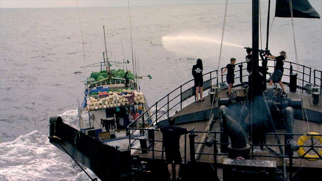 鲨鱼海洋 Sharkwater