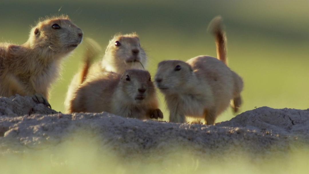 北美大地 North America